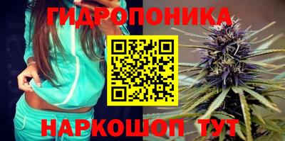 дмт Кандалакша